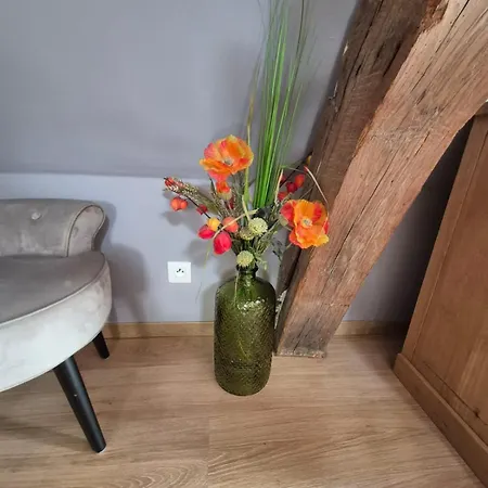 Duplex Vauban * Le Quesnoy (Nord)