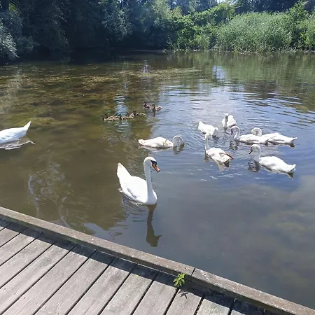 Duplex Vauban Appartement *